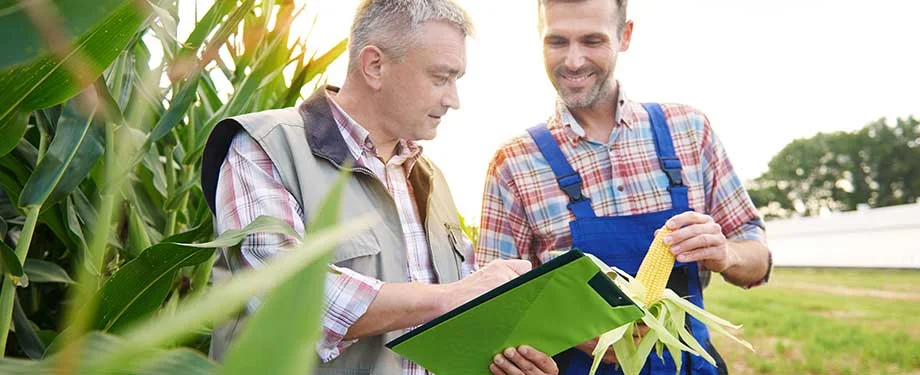 Quanto custa um seguro agrícola? Na imagem, empreendedores avaliam proposta de seguro agropecuário, cujo o valor depende de fatores como coberturas, seguradora, histórico de sinistros, entre outros