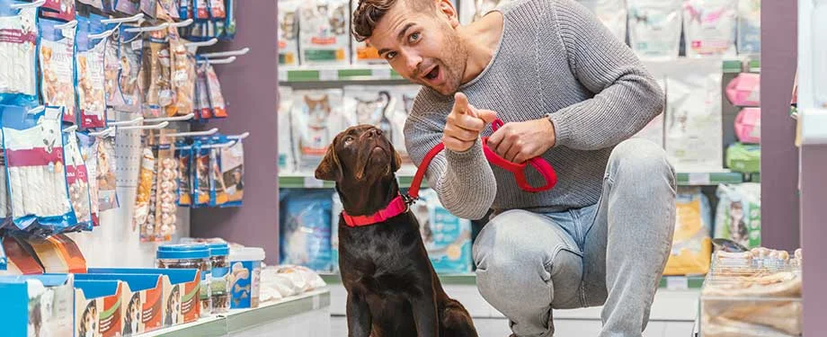 O que é seguro pet shop? Na imagem, cachorro e tutor representam seguro que protege contra danos ao estabelecimento e riscos aos animais