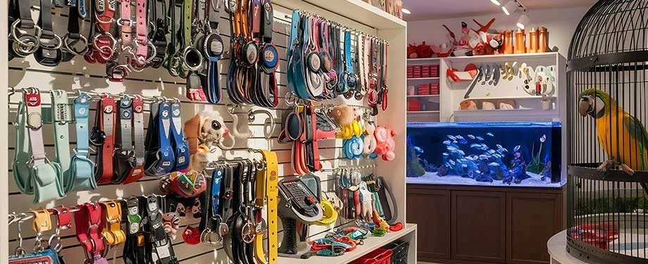 Quais os principais serviços de assistência 24 horas no seguro pet shop? Na imagem, acessórios vendidos em pet shop reforçam seguro que oferece serviços de encanador, chaveiro, eletricista, entre outros