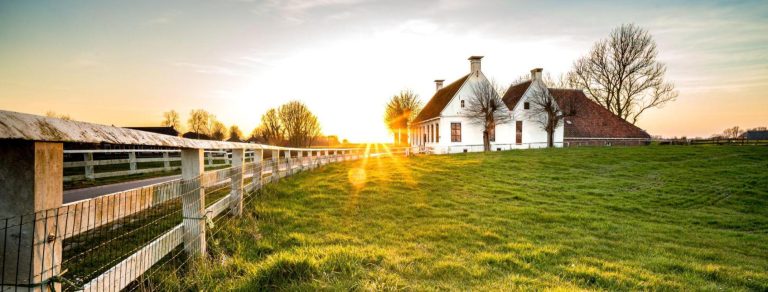 seguro penhor rural: por que é importante