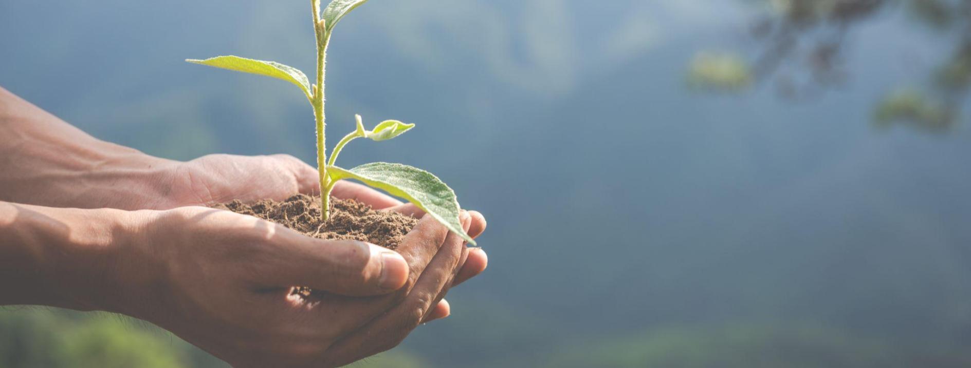 seguro rc ambiental como funciona