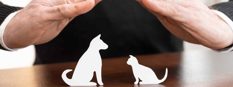 seguros animais: tipos e coberturas